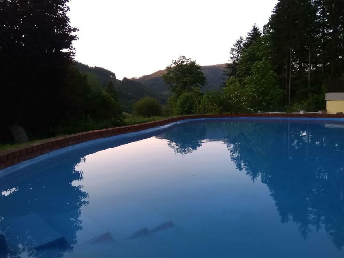 Pool, Pokale, Sauna, Billard, Kirche U. Viel Natur Vordernberg Екстер'єр фото